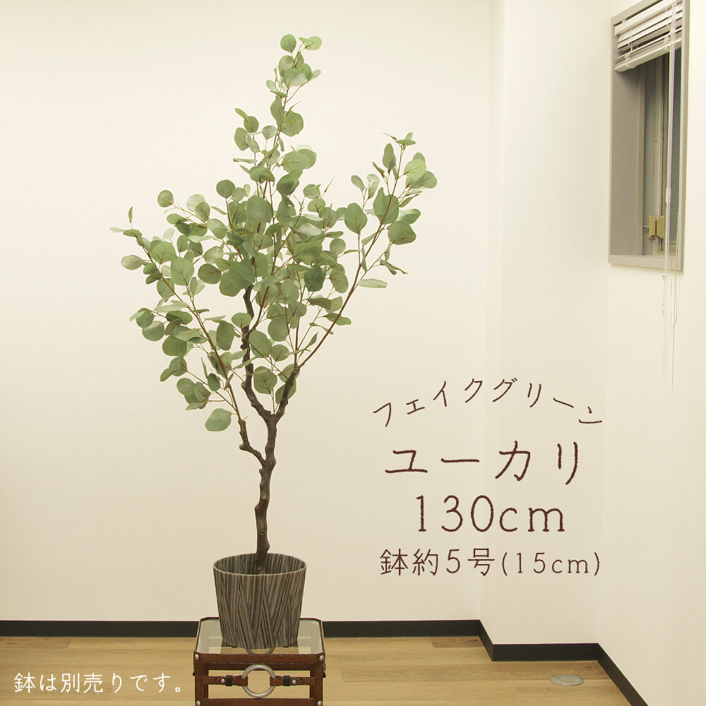 フェイクグリーン 観葉植物 とりよせ品 【メーカー直送品】ユーカリ(ポット付) 150cm《代引決済・他商品との同梱不可》＜br /＞ ＜br /＞ 観葉植物 1.5m 大型 安い 春 アスカ ASCA アスカ商会