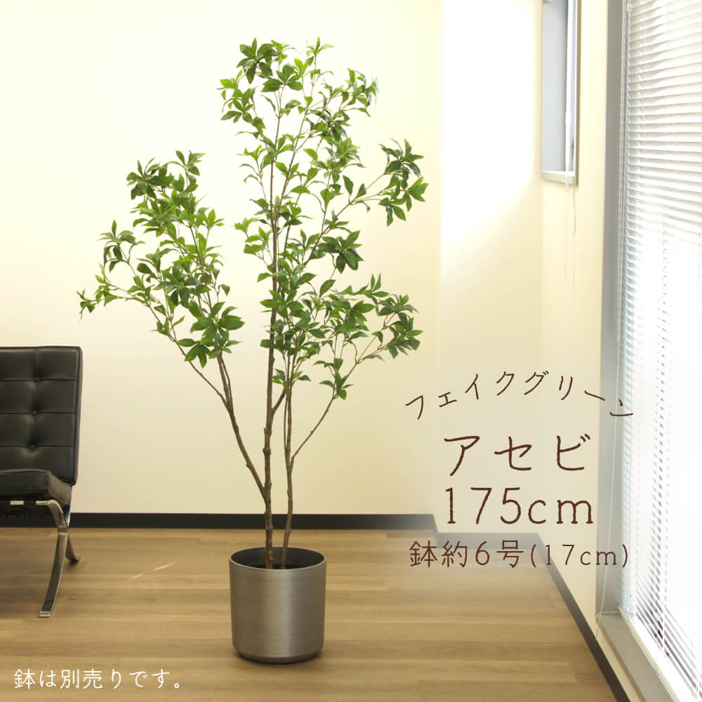 フェイクグリーン 観葉植物 とりよせ品 【メーカー直送品】アセビ(ポット付)《代引決済・他商品と同梱不可》 観葉植物 1.7m 175cm 大型 おしゃれ 春 アスカ ASCA アスカ商会｜造花ドライフラワー専門問屋花びし 28,215円