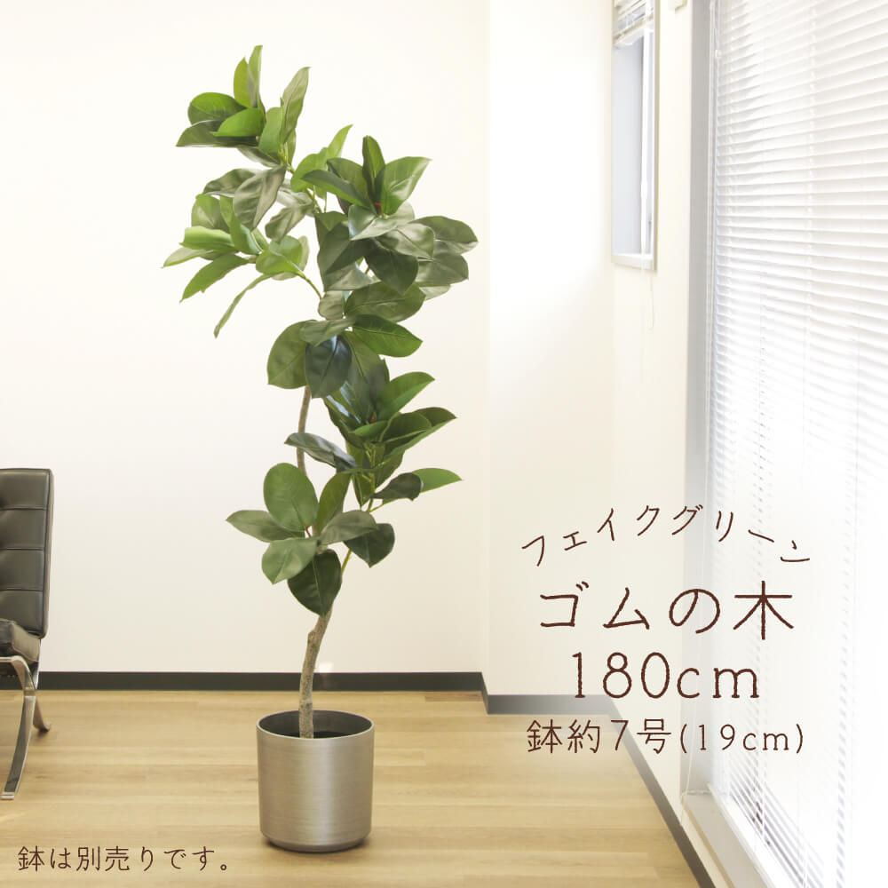 フェイクグリーン 観葉植物 とりよせ品 【メーカー直送品】ゴムの木(ポット付)《代引決済・他商品と同梱不可》 観葉植物 1.8m 180cm 大型 おしゃれ アスカ ASCA アスカ商会｜造花ドライフラワー専門問屋花びし