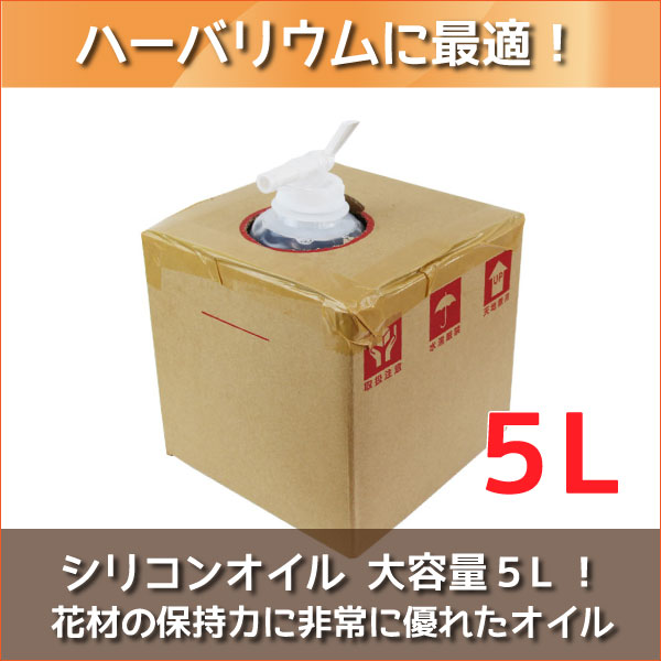 ★即日さし出し★貨物輸送無料★  ハーＢａ 【山歩き後ろ側】 ５Ｌ ボックス席（5000ml）ケイ素樹脂油絵の具 ハーバリウムオイル 油絵の具 原材料 液 大電気容量 高品質 高純度 ペットボトル 仕事場 御手手お手伝いさん くぐり抜ける 母の日