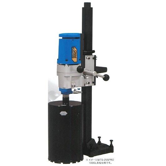 シブヤ ダイモドリル RegularType Aロットねじ釘 TS-255PRO 052198