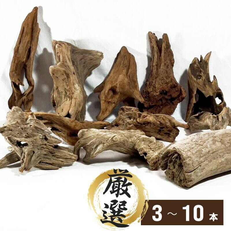 楽天市場】流木10本セットC 爬虫類 自然流木 淡水流木 アレンジメント