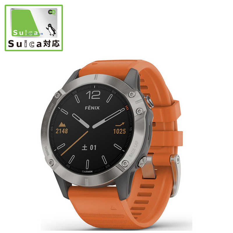 garmin fenix 6 standard