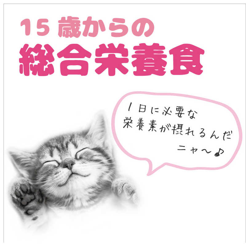 超人気の アイシア ＭｉａｗＭｉａｗ ジューシー １５歳からのあじわいまぐろ ７０ｇ andreagblesa.com