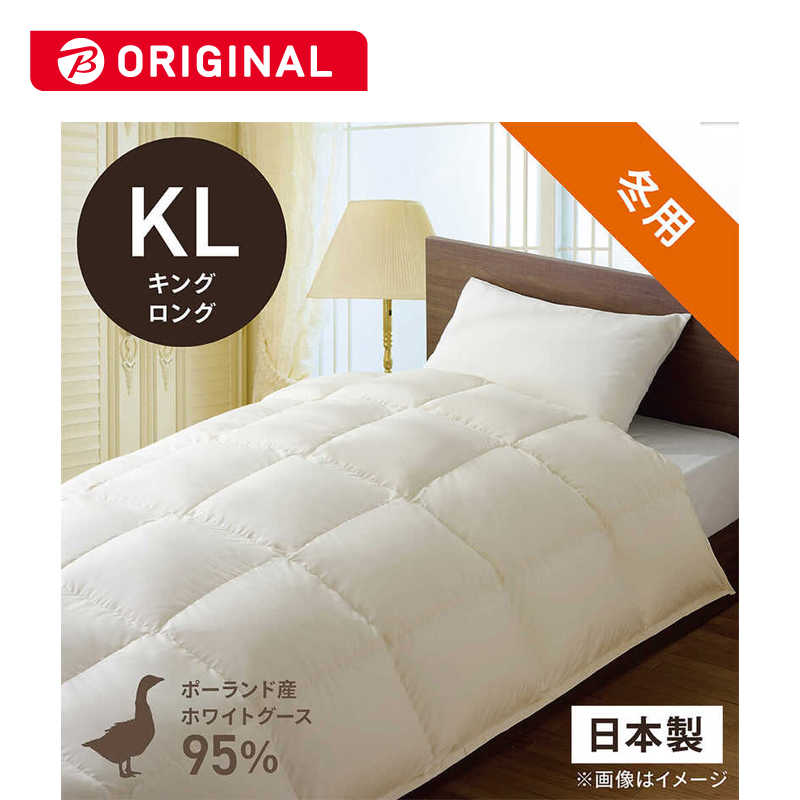 買い替え社会的運動202606