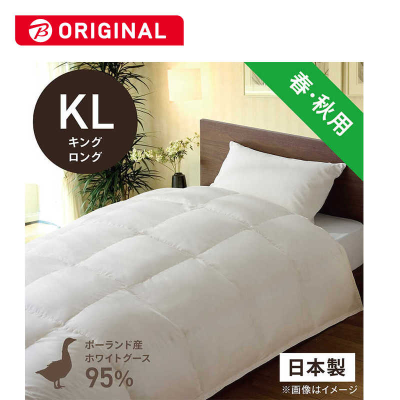 買い替え社会的運動202606
