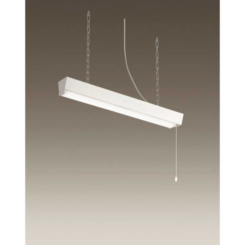 大光電機　ＬＥＤ多目的灯　DXL81186