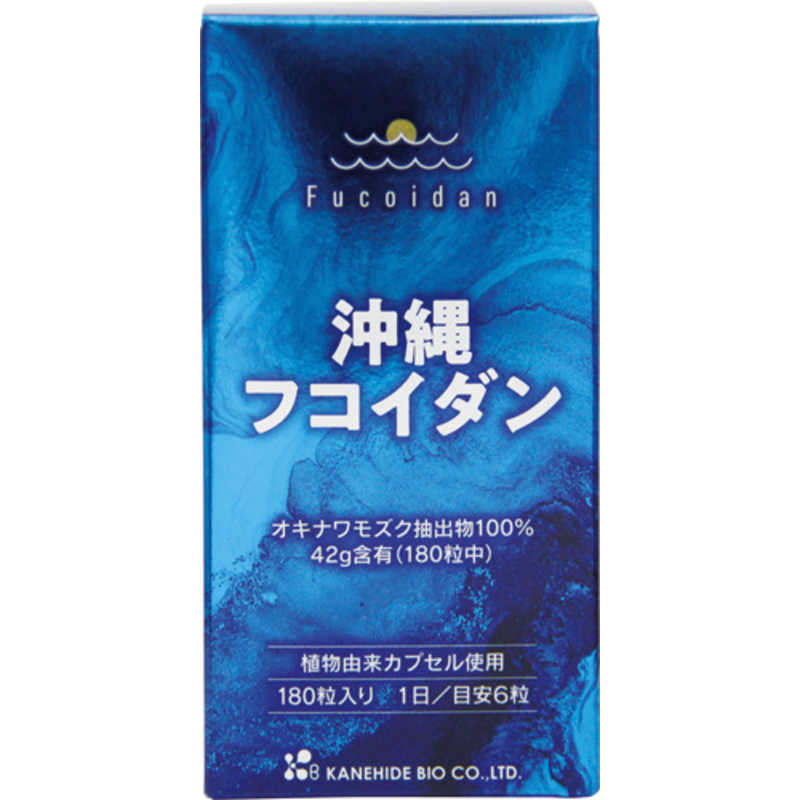 買い替え社会的運動202606