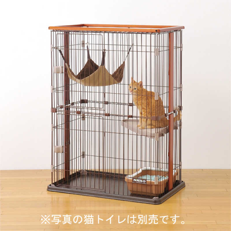 買い替え社会的運動202606