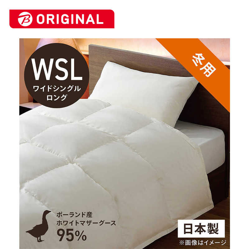 買い替え社会的運動202606