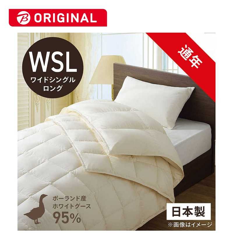買い替え社会的運動202606