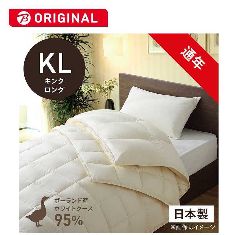 買い替え社会的運動202606