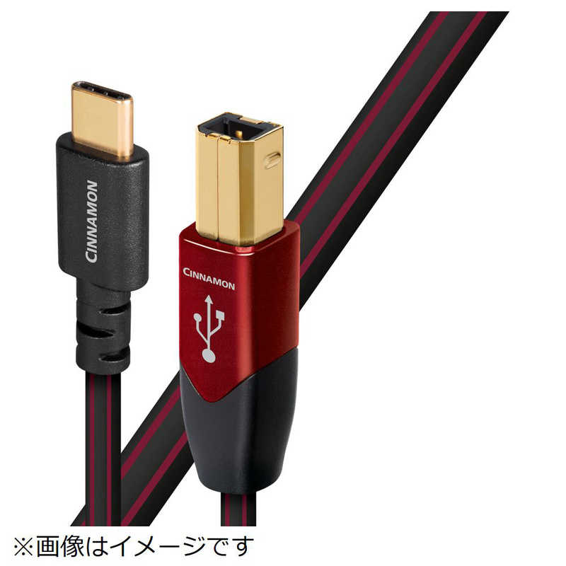 オーディオクエスト USBケーブル USB2CIN0.75MCB 品質が