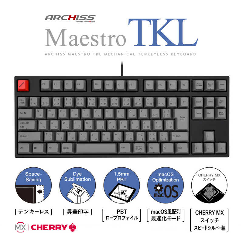 ARCHISS アーキス　キーボード Maestro TKL(スピードシルバー軸)(Mac/Windows11対応) ［有線 /USB］　AS-KBM91/LSGBA
