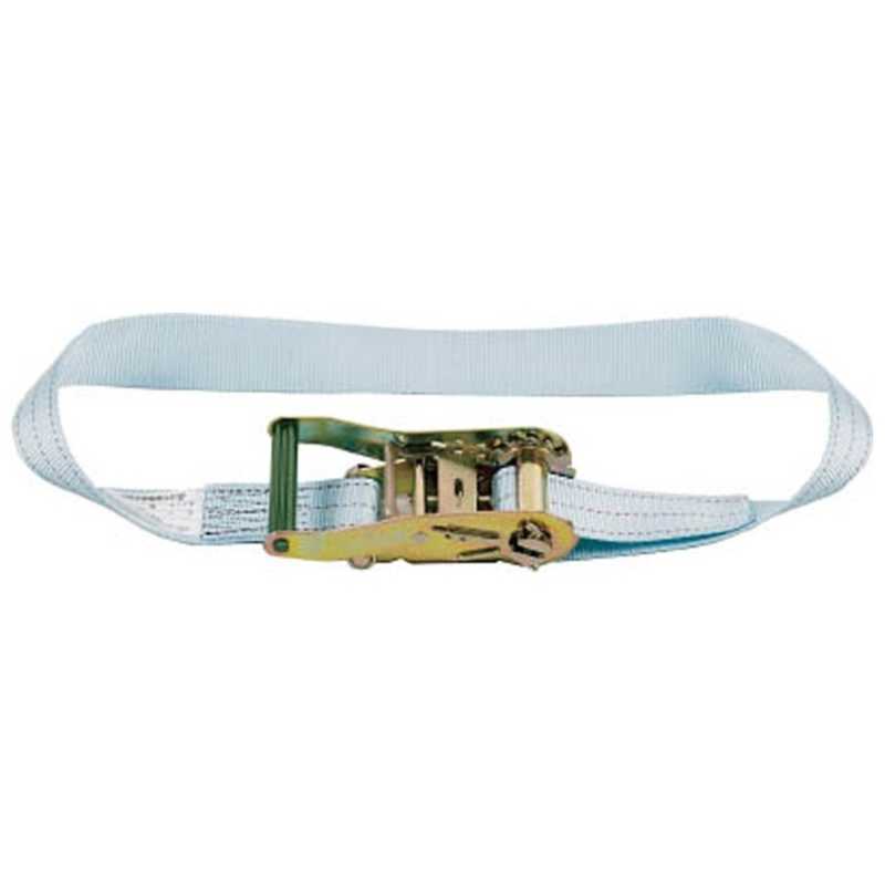 田村総業　ラッシング TR30-N-6.0　TR030N00060 7,976円