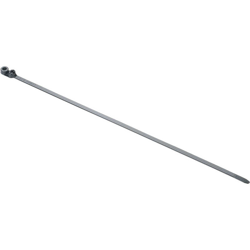 パンドウイット　パンドウイットネジ止めタイプステンレス爪ロック式結束バンド黒(250本入) 　BC4LHS25TL0