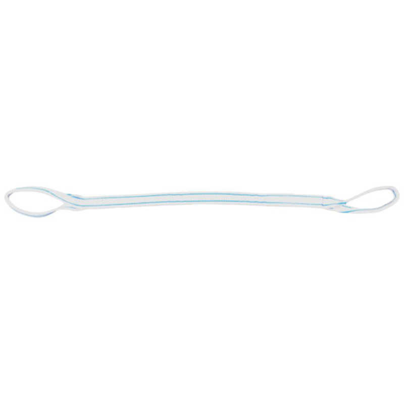 テザック　TESAC 耐化学薬品用スリング(JIS2等級･両端アイ形)50mm幅×4.5m　PP2E50X4.5