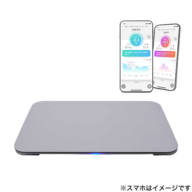 販売実績No.1 ISSIN スマートバスマット グレー スマホ管理機能あり