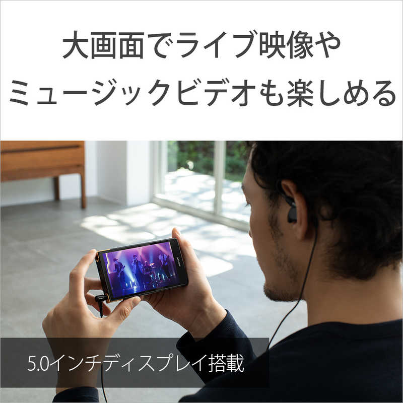 ソニー　SONY　ウォークマン　NW-ZX707　ZXシリーズ　2023年モデル]　ブラック[64GB　WALKMAN　C