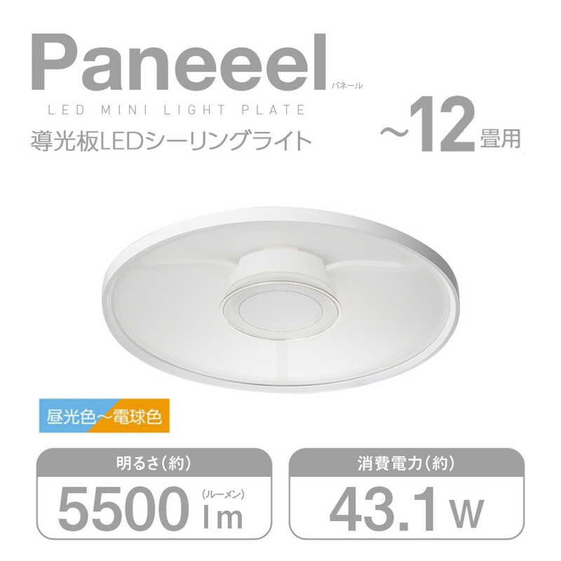 買い替え社会的運動202606