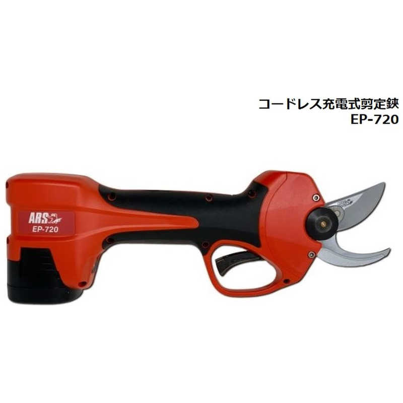 買い替え社会的運動202606