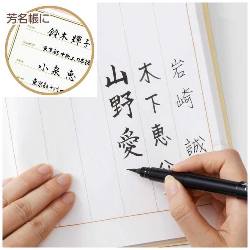 Pentel Portable Brush Pen - Medium Tip