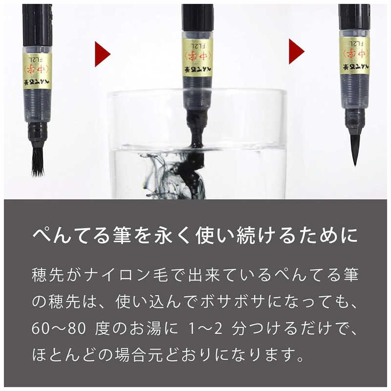 Pentel Portable Brush Pen - Medium Tip