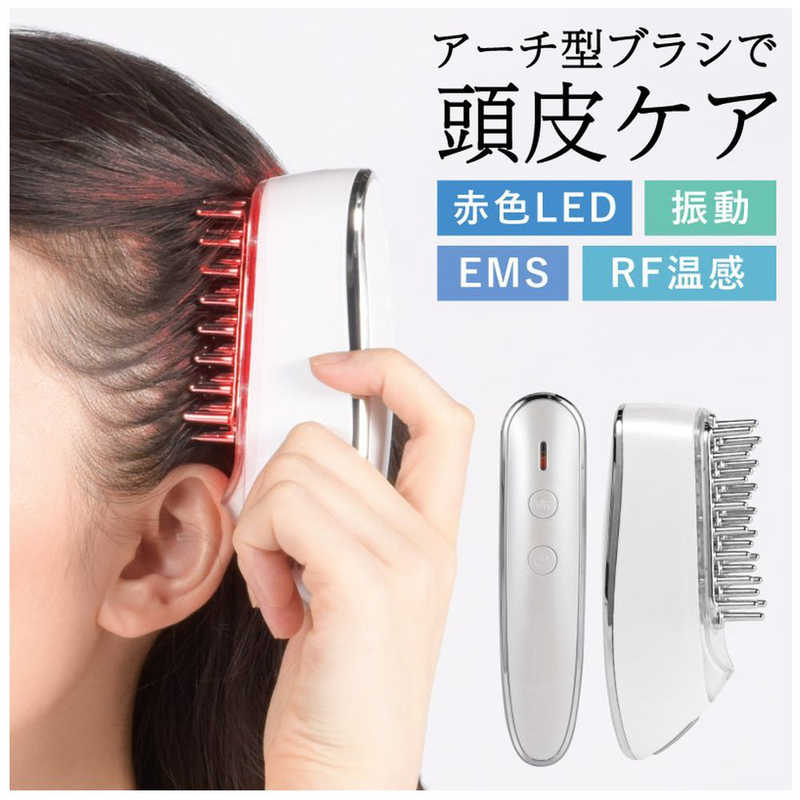 買い替え社会的運動202606