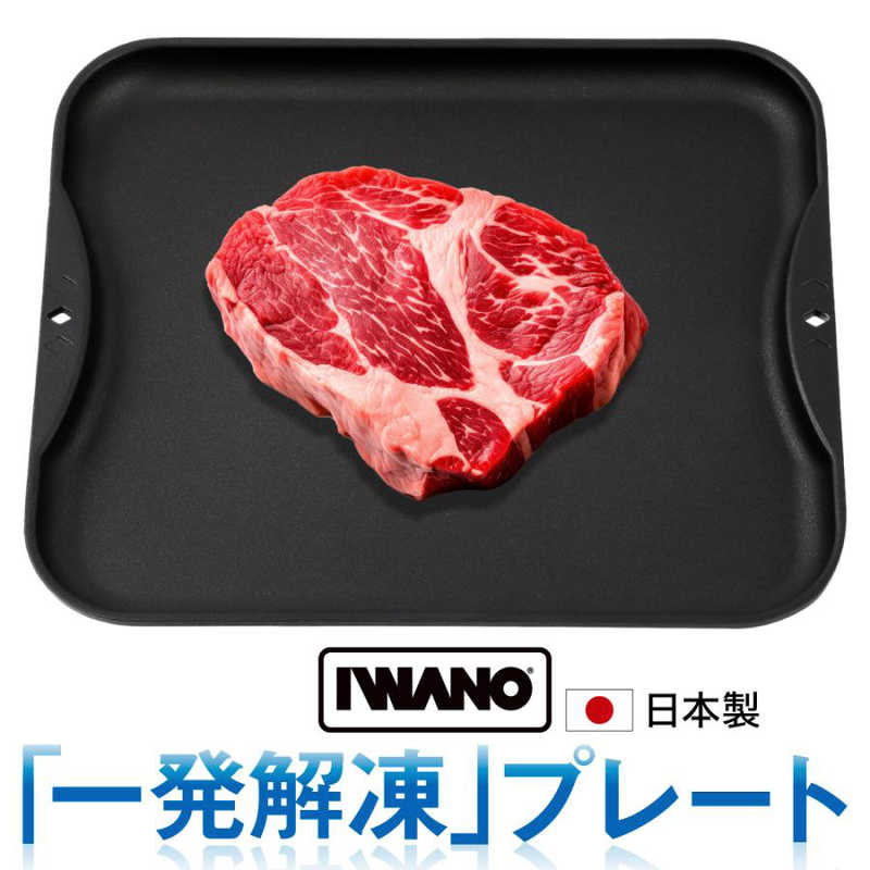 IWANO　一発解凍プレート(解凍皿) ブラック　AWKSD