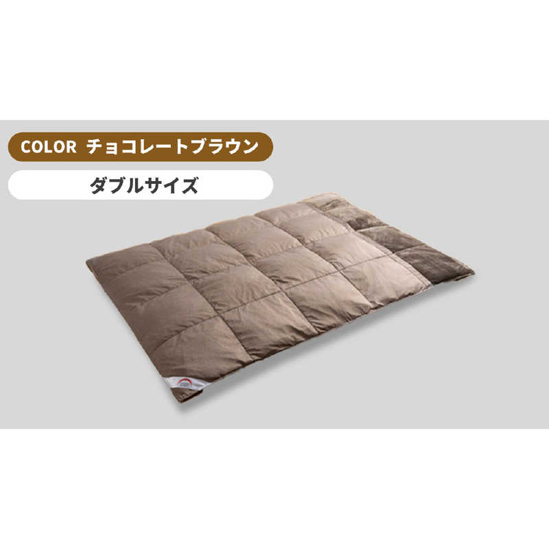 買い替え社会的運動202606
