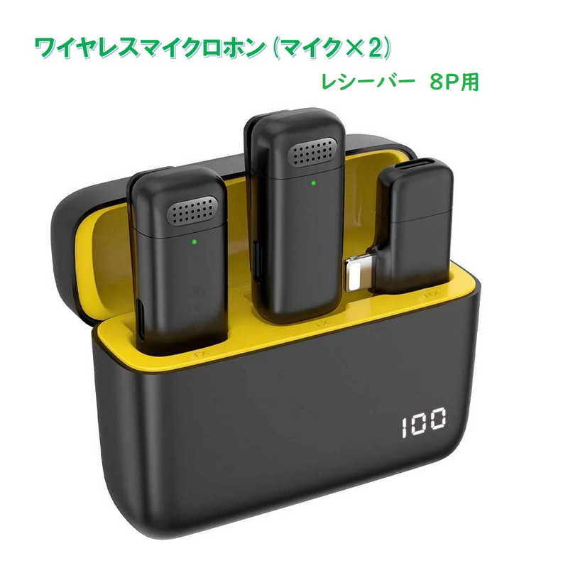 ROYALMONSTER　RM ワイヤレスマイクロホン・Lightning(マイク×2)　RM-2908MIC2-L