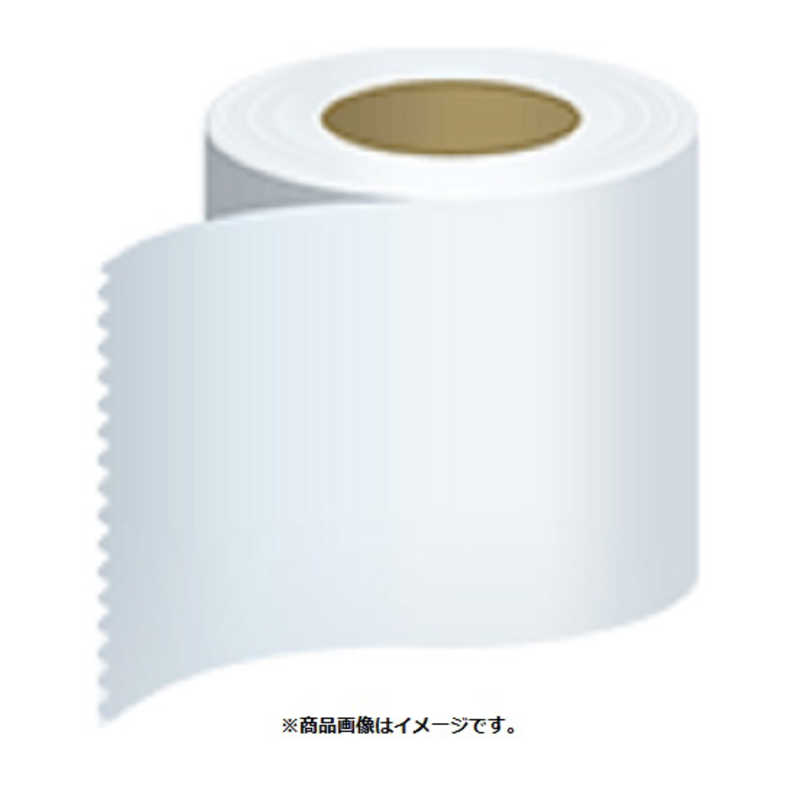 エプソン　EPSON　ラベルプリンター用紙 普通紙連続ラベル　C34SB003
