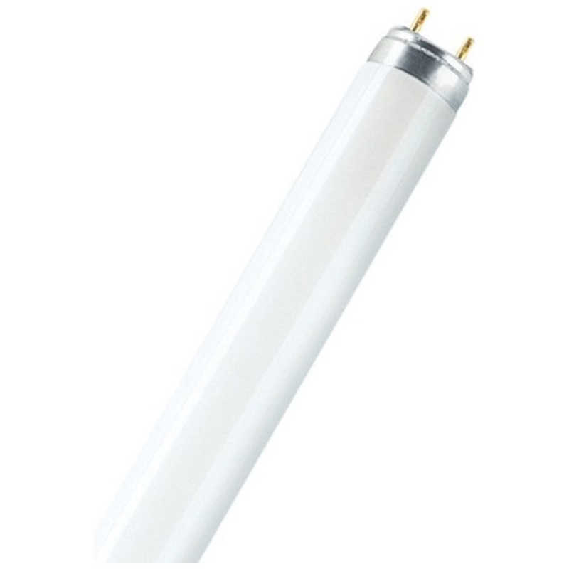 LEDVANCE　OSRAM 蛍光ランプ T8 G13 LUMILUX Cool White(4000 K)　LUMILUXT8L58W840