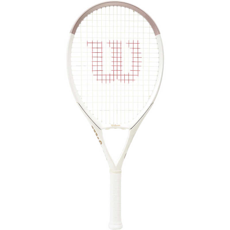 買い替え社会的運動202606