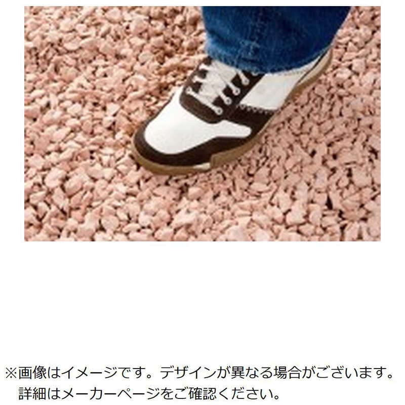 買い替え社会的運動202606