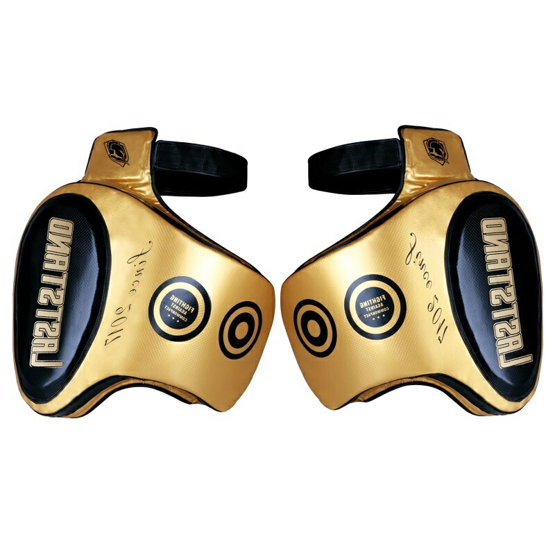 楽天市場】ボクシング 足ガード ボディプロテクター コーチング キック