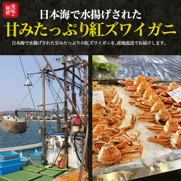 内祝い 合計約2kgセット 訳あり 茹で紅ズワイガニ 肩脚詰め合わせ 産地直送 カニ 蟹 かに ボイル 茹で 足 あし 蟹足 日本 国内水揚げ カニ汁物 お鍋 雑炊 パスタ 鳥取県産 鳥取産 未冷凍 ご自宅用 ご褒美 プチ贅沢 B品 肌触りがいい Www Mutupelayanankesehatan Net