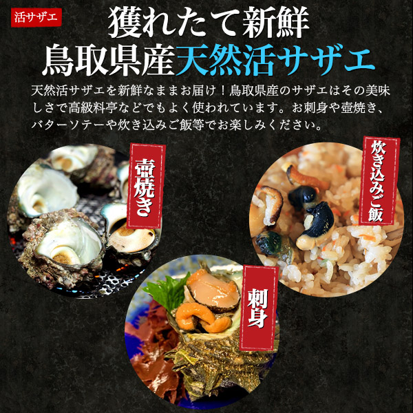合計約2kg 送料無料高級食材 天然 岩牡蠣 活サザエ 詰め合わせ セット 国産 活け物 産地直送 鳥取県 産直 未冷凍 日本 高級 ご褒美 贅沢 天然もの ブランド牡蠣 夏輝 希少 貴重 カキ 生食 生食用 新鮮 殻付き 冷蔵便 活き 天然サザエ 海の幸セット