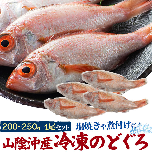 市場 送料無料 4尾 冷凍のどぐろ アカムツ 未調理 店舗用 冷凍 特大サイズ 約200〜250g ノドグロ ご家庭用 姿 業務用 ご自宅用 直送  山陰沖産 真空パック