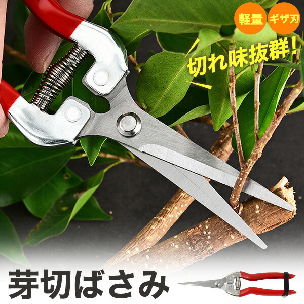 庭の剪定ばさみ果樹園の園芸鋏、庭の剪定ばさみ Amazon | FLORA GUARD プロの剪定ばさみ 剪定鋏 園芸用はさみ 剪定