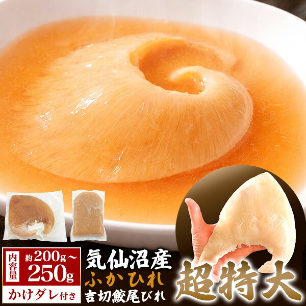 送料無料 超特大 ふかひれ 尾びれ 気仙沼産吉切鮫ふかひれ尾びれ [ 約200~250g前後 ] フカヒレ 調理前 材料 食材 贅沢 中華ご馳走 スープ 姿煮 冷凍 大きい 高級食材 パーティー イベント 来客 おうちごはん たれ付き 下処理不要 下準備不要 そのまま使える
