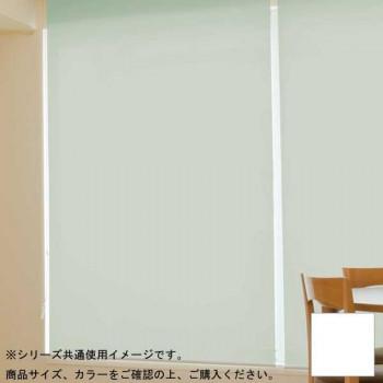 ロールスクリーン ロールカーテン ロールアップ ブラインド のれん 目隠し 間仕切り カーテン スクリーン すだれ 遮光 調光 北欧 洗面所 脱衣所 玄関 幅110 丈200 カーテンレール プルコード式 ひっぱり式 引っ張り 簡易 軽量 交換 採光 取付 断熱 賃貸 吊り下げ 無地