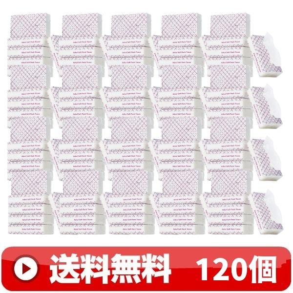 貨物輸送無料 ｜ ちり紙 120個 300枚 ( 150組 )｜  ソフトパックティッシュ 箱ティッシュ ティシュー 縞柄 日装置 疲労困憊品 取っておく用 花粉症打つ手 洗い濯ぎ用 愛玩動物用 大電気容量 引き揚げ 水回転運動 パステル色の やわらかい 白いこと 白いこと 安あがり 国産 最安値 まとめ買い お得用 ｜D便