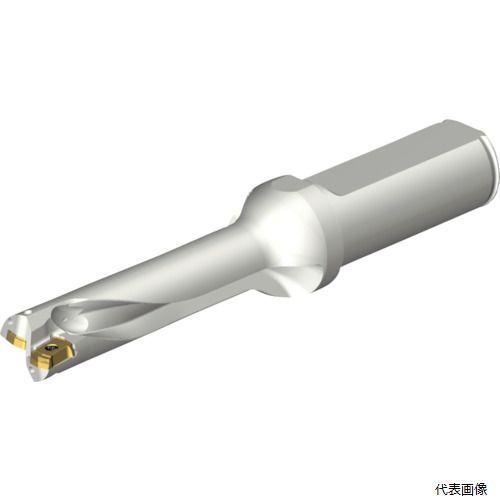 サンドビック DS20-D1500L20-04 SANDVIK コロドリルDS20刃先交換式ドリル(465)