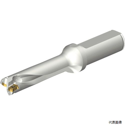 サンドビック DS20-D1600L20-04 SANDVIK コロドリルDS20刃先交換式ドリル(465)