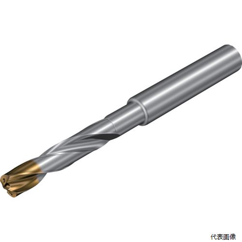 サンドビック 860.1-0810-066A1-GM SANDVIK コロドリル860‐GM 超硬ソリッドドリル(720) X1BM