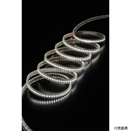 ハタヤリミテッド RLTP-10 ハタヤ LEDテープライトR片面