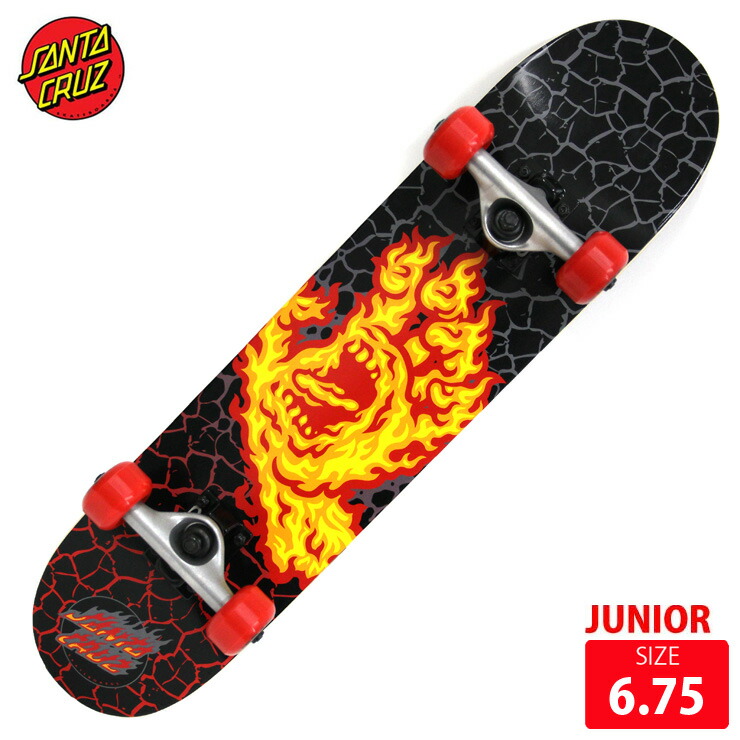 6 75 クエストン 送料無料 ジュニア Hand Santa Skateboard コンプリート スケボー Newera スケートボード Questons Deck バイク Flame Cruz サンタクルズ スケボー