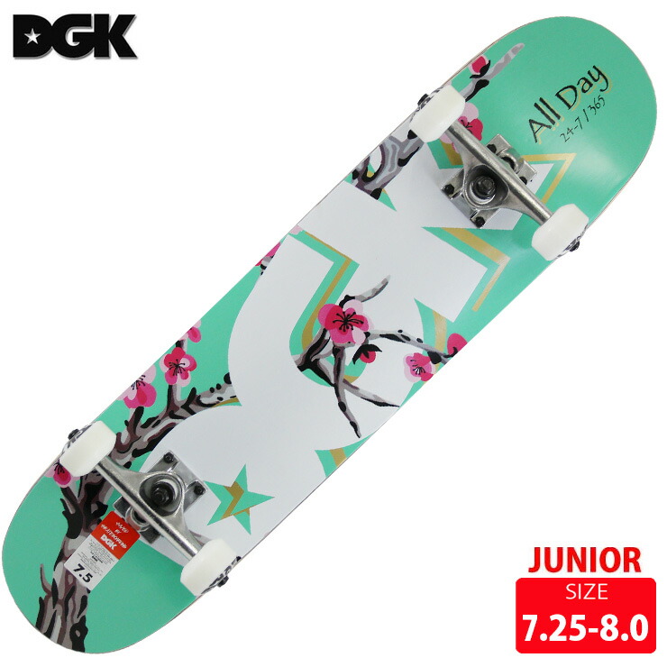 DGK ディージーケー コンプリートデッキ BLOSSUM DECK SIZE 7.25 7.5 7.75 8.0 スケートボード 完成品 組み立て済  スケボー 2021年秋冬新作