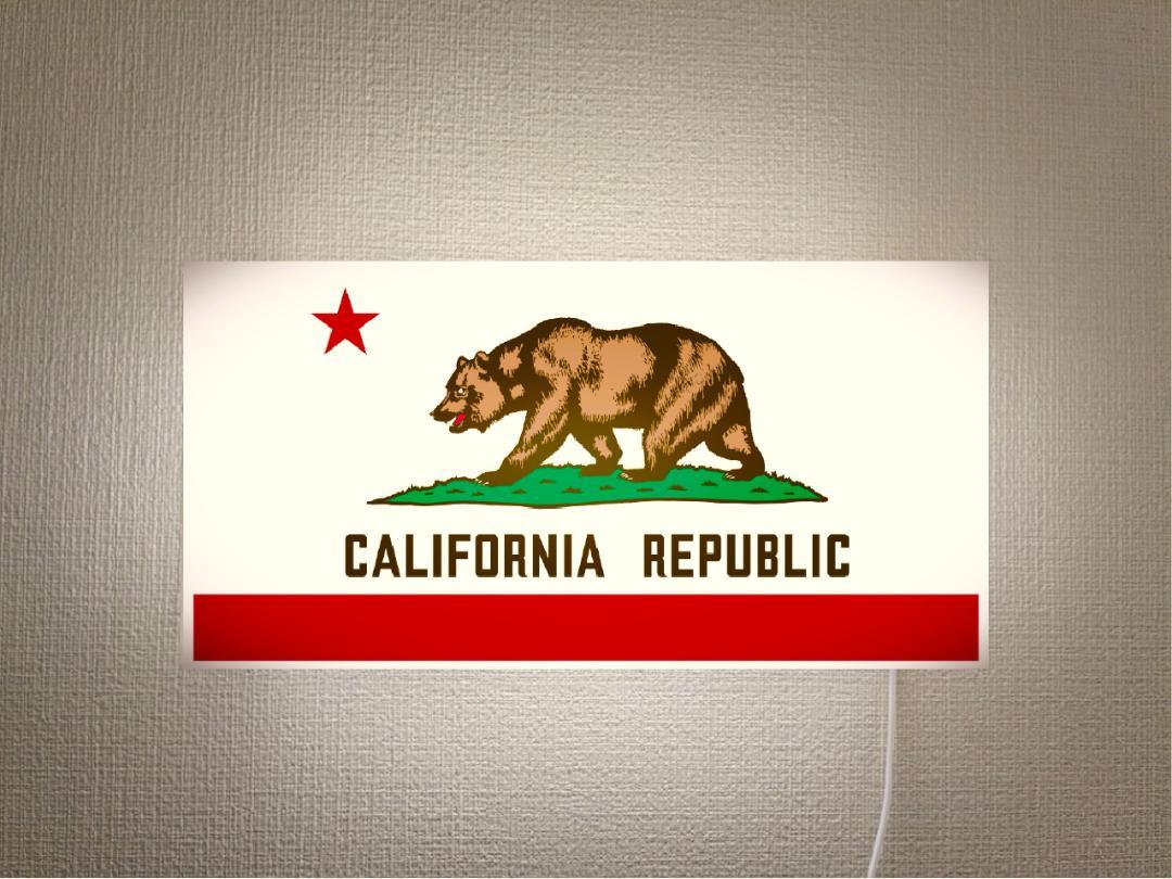 【Lサイズ 壁掛け※画鋲で簡単設置】California Republic カリフォルニアリパブリック カリフォルニア共和国 熊 国旗 アメリカンレトロ プレゼント 店舗 自宅 玄関 パーティー イベント テーブル カウンター サイン ランプ 照明 看板 置物 雑貨 ライトBOX 電飾看板 電光看板